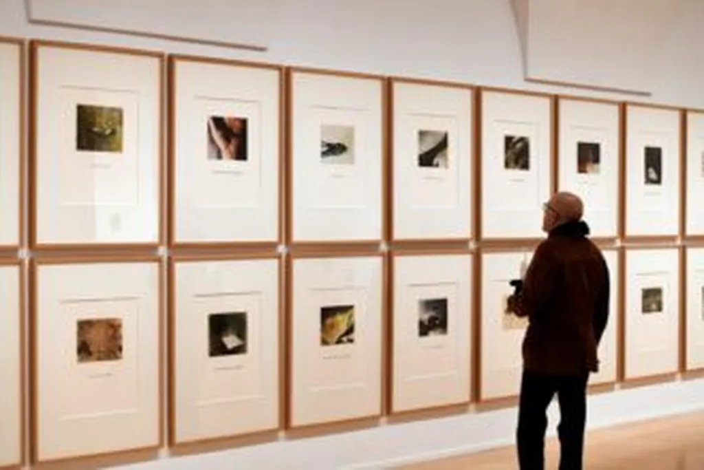 Todo sobre la retrospectiva de Luis Camnitzer en el Reina Sofía